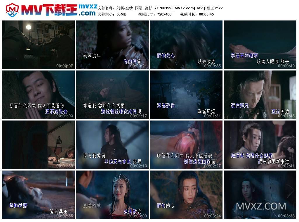 刘畅-金沙_国语_流行_YE700199